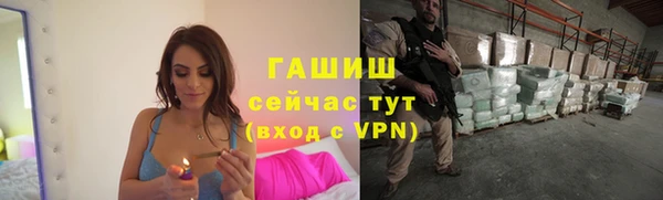 стаф Белокуриха