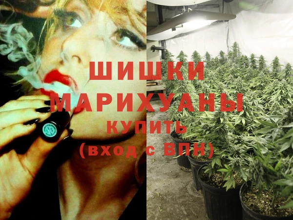стаф Белокуриха