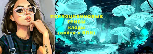 мдма Беломорск