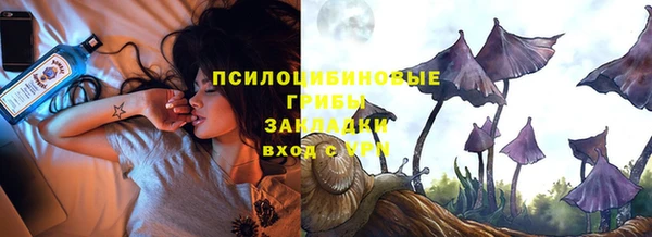 стаф Белокуриха