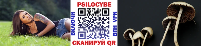 где найти наркотики  Володарск  Псилоцибиновые грибы Magic Shrooms 